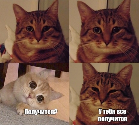 Один котик говорит другому котику, что у него все получится